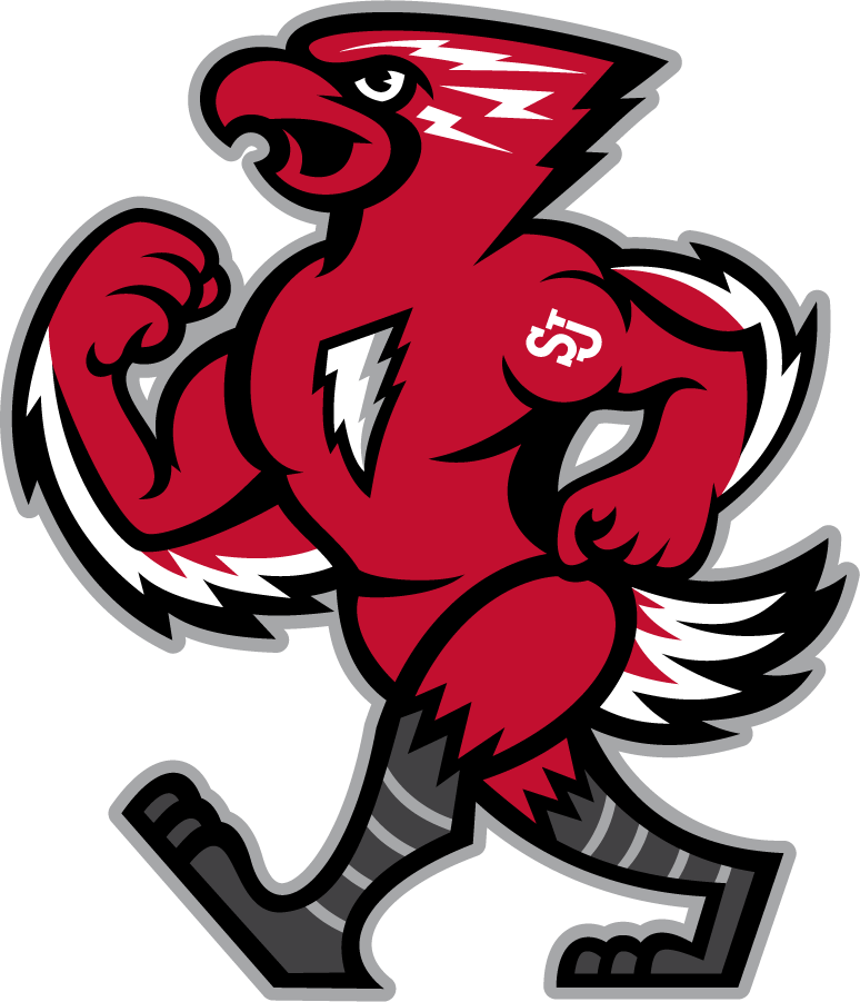 St. John's Red Storm 2015-Pres Mascot Logo diy DTF decal sticker